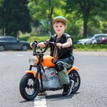 36V Freddo E-Chopper, Leather Seat, Rubber Air Wheels, Brushless Motor